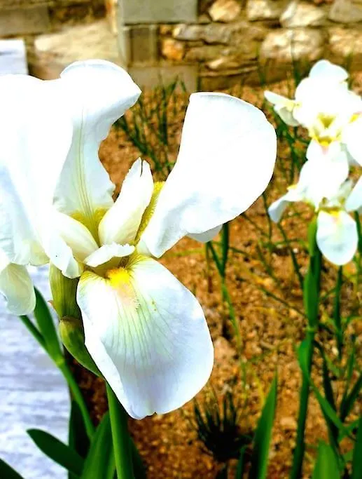 Philoxenia Guest Studio Himare Albania