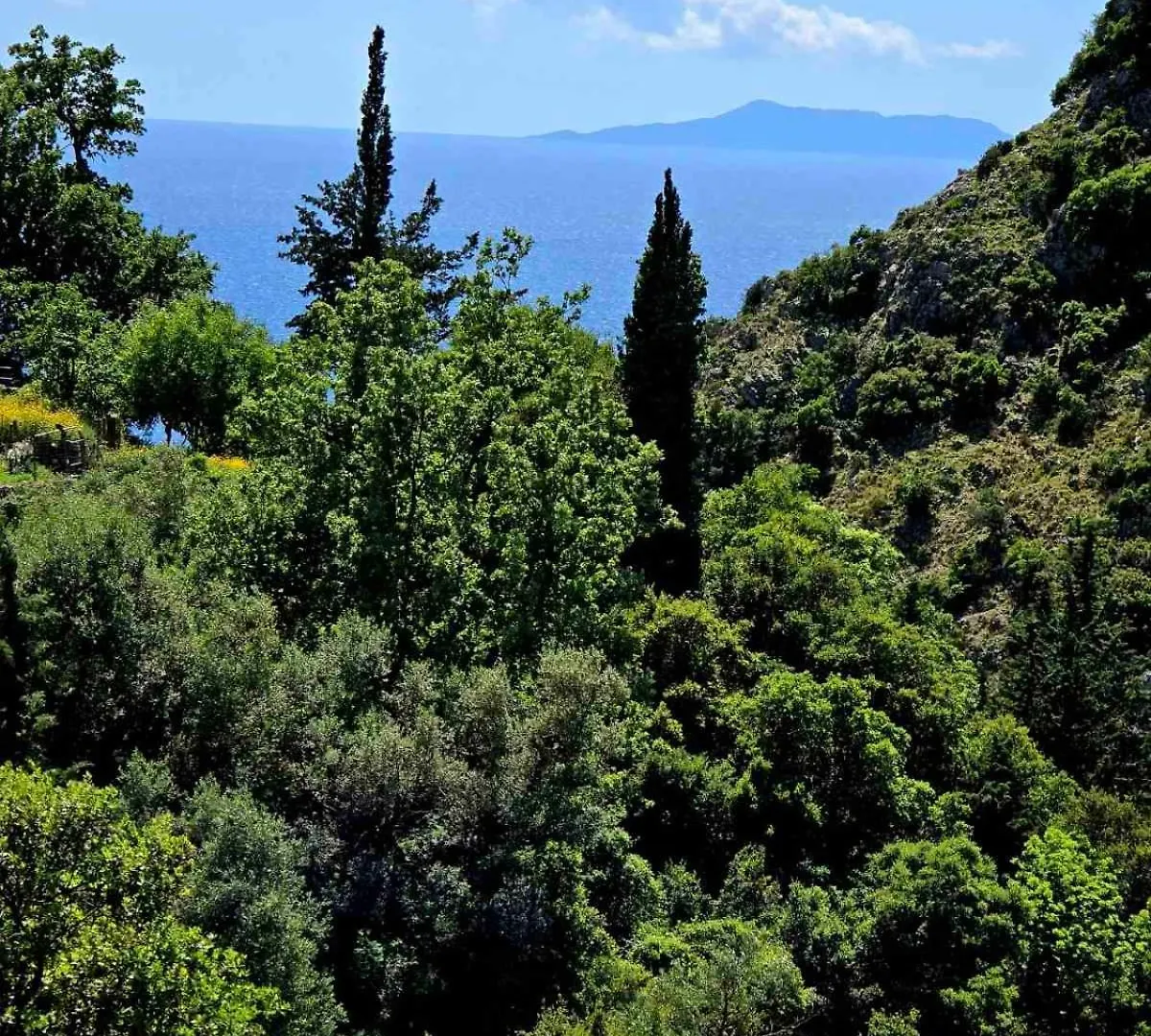 Philoxenia Guest Studio Himare Albania